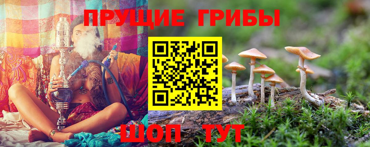 Галлюциногенные грибы мицелий Можайск